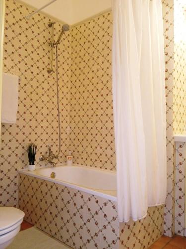 a bathroom with a bath tub and a toilet at Rustic Village House for Nature & Trekking Lovers in Furnazinhas