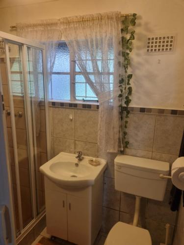 a bathroom with a sink and a toilet and a window at Hibberdene Cottage Crew in Hibberdene