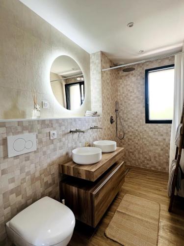 une salle de bain avec toilettes, lavabo et miroir dans l'établissement Maison Familiale du Canal, à Boisset-lès-Montrond