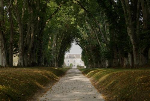 un chemin à travers une rangée d'arbres devant une maison dans l'établissement Château La Monge - Perche, à La Ferté-Bernard