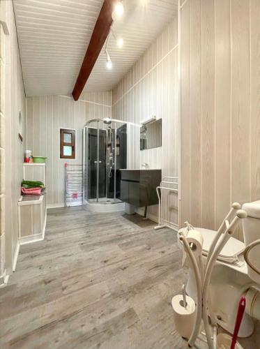 une grande salle de bain avec douche et lavabo dans l'établissement Charmante maison de campagne avec jardin et barbecue, à Piets-Plasence-Moustrou