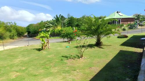 a grassy area with palm trees and a street at Maison accueillante à Anse-Bertrand avec jardin privé 70 m² in Anse-Bertrand