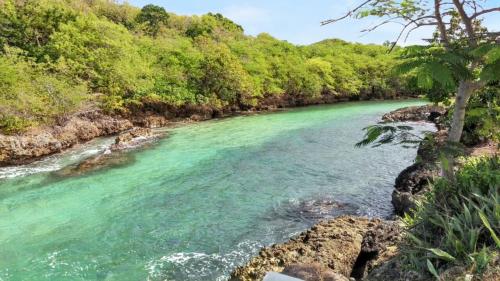a river with turquoise water next to a forest at Maison accueillante à Anse-Bertrand avec jardin privé 70 m² in Anse-Bertrand