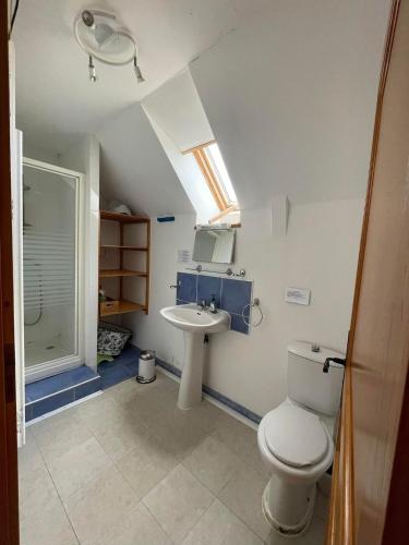 une salle de bain avec toilettes et lavabo dans l'établissement Large Welcoming House of 15 people, à Melrand