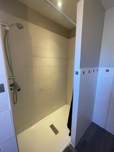 a bathroom with a shower with a glass door at Ophidia in Foix