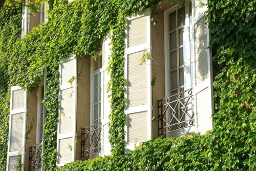 an ivy covered building with white windows and shutters at Hotel Boutique Le Reve in Santiago