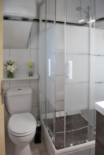 une salle de bain blanche avec toilettes et douche dans l'établissement Studio confortable à Argelès-sur-Mer 25 m² vue mer, à Argelès-sur-Mer
