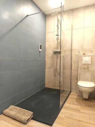 une salle de bain avec une douche en verre et des toilettes dans l'établissement Suite indépendante - Le Romarin, à Peyruis