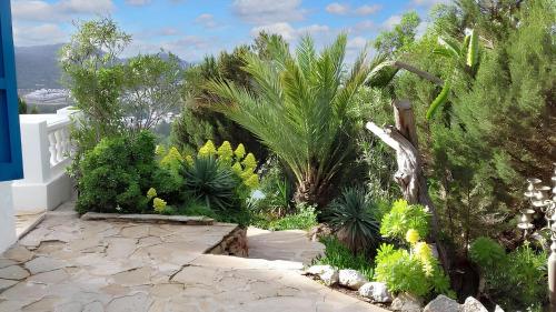 a garden with palm trees and plants at Sophisticated Villa in Sant Josep de sa Talaia with Private Pool in Sant Josep de Sa Talaia