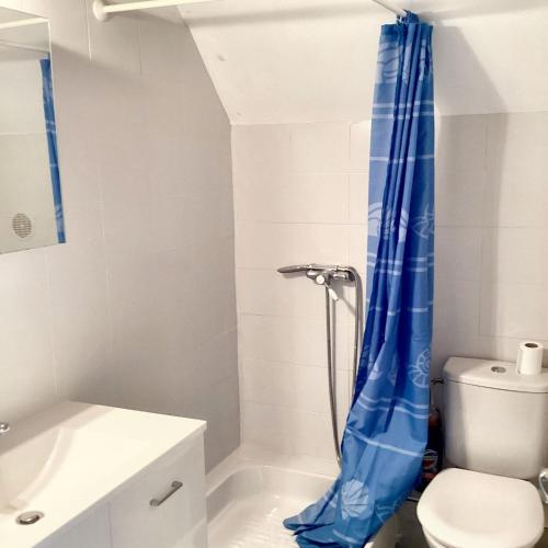 La salle de bains est pourvue d'un rideau de douche bleu à côté des toilettes. dans l'établissement Maison conviviale avec jardin à Saint-Nazaire-de-Pézan, à Saint-Nazaire-de-Pézan
