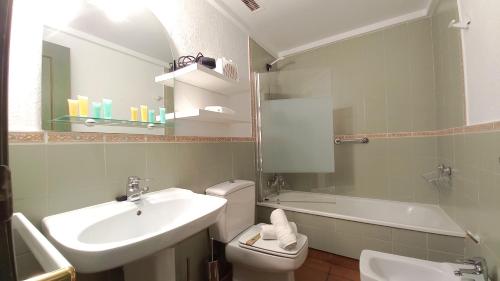 a bathroom with a sink and a toilet and a mirror at Plaza Andalucía Edificio Salvia in Monachil