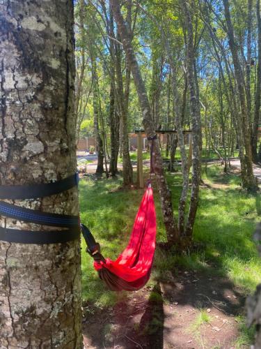 a red hammock tied to a tree in a park at Boker Tov Pucón in Pucón