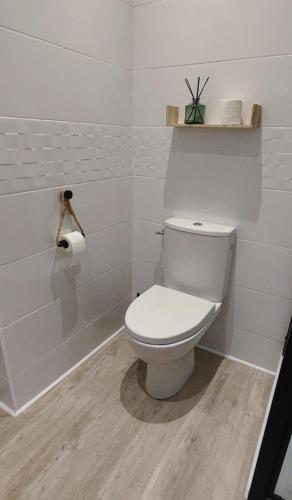 a white bathroom with a toilet and a roll of toilet paper at Charming studio in downtown in Montélimar