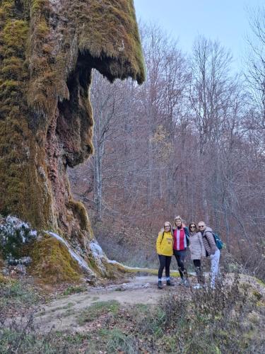 a group of people walking down a dirt trail at Apartmani Feliks in Resavica