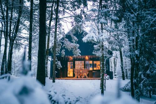 a cabin in the woods in the snow at Cocodeno-'Virš Ąžuolų' - Forest SPA - FREE jacuzzi in Paplatelė