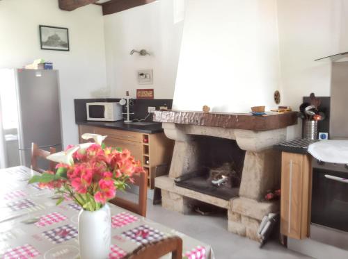une cuisine avec une cheminée et un chat assis sur une table dans l'établissement Maison charmante à Sougéal avec superbe jardin, à Sougéal