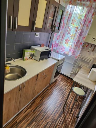 une petite cuisine avec un évier et un micro-ondes dans l'établissement Apartament Cochet Cozy Gara De Nord Metrou, à Bucarest