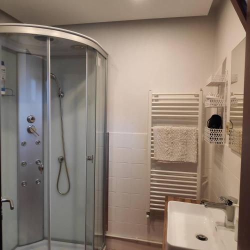 a bathroom with a shower and a sink at Casas da Quinta da Cancela in Balugães