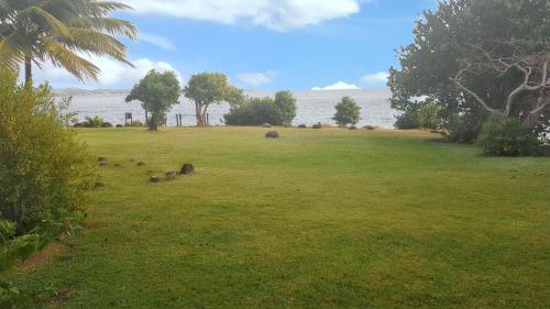 a field with animals laying in the grass near the water at Appartement confortable à Sainte-Luce 50 m² vue mer in Sainte-Luce