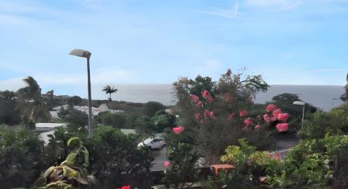 a view of a parking lot with flowers at Maison charmante à Saint Paul avec vue mer et montagne in Saint-Paul
