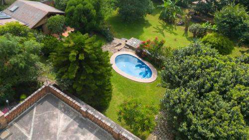 an overhead view of a yard with a swimming pool at Cozy Nature Escape in Tepoztlán in Tepoztlán