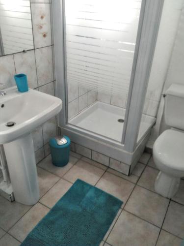une salle de bain avec une douche, un lavabo et des toilettes dans l'établissement Maison chaleureuse à Notre-Dame-de-Monts avec terrasse, à Notre-Dame-de-Monts