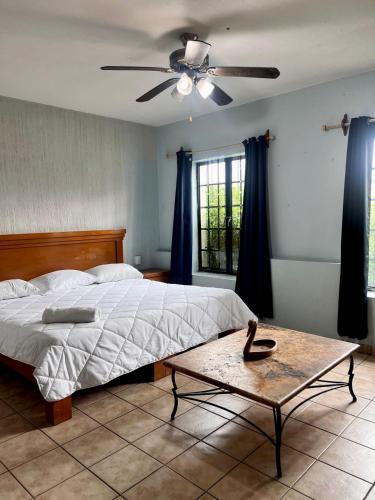 a bedroom with a bed and a ceiling fan at Suites Chingón in Guadalajara
