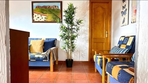 a living room with two chairs and a potted plant at Casa Pavón de La Fortaleza Chipude in El Cercado