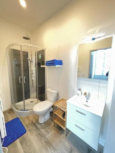 une salle de bain avec une douche, des toilettes et un lavabo dans l'établissement L'Ibéris - 1 ch en centre ville, à Auch