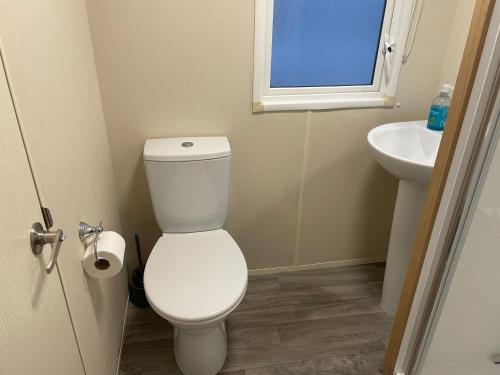 a bathroom with a white toilet and a sink at Rockley Park Private Holiday Homes in Poole