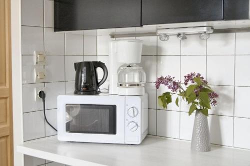 - un comptoir de cuisine avec un four micro-ondes et un vase fleuri dans l'établissement Appartement spacieux à Carcassonne 48 m² avec parking, à Carcassonne