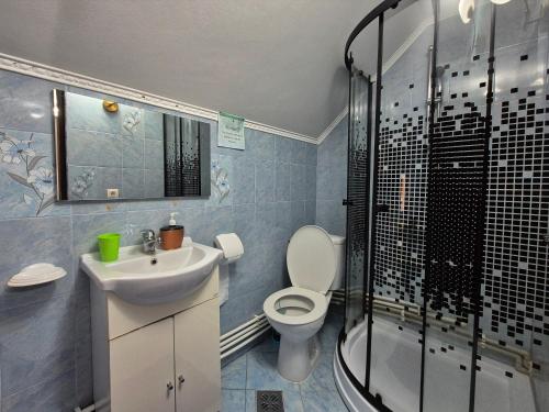 a bathroom with a toilet and a sink and a shower at Pensiunea Inima Maramureșului in Breb