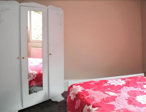 una camera da letto con un letto e uno specchio di Appartement charmant à Plancher-les-Mines 40 m² avec jardin a Plancher-les-Mines