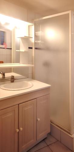 une salle de bain avec un lavabo et un miroir dans l'établissement Maison confortable à Berriac, 80 m² avec jardin privé, à Berriac