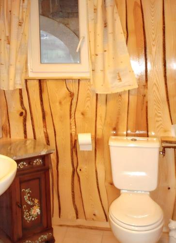 ラ・ブレスにあるChalet charmant à La Bresse avec terrasse et jardin clôturéのトイレと洗面台付きのバスルーム