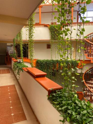 a room with benches and plants on the wall at Hotel Báez Carrizal in Villahermosa