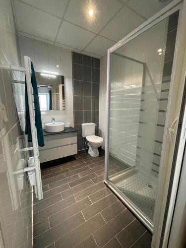 une salle de bain avec une douche, des toilettes et un lavabo dans l'établissement Studio dans le centre de GAP, à Gap