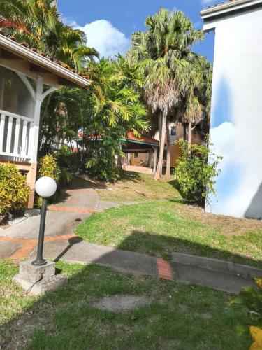 a house with palm trees in the yard at Appartement confortable à Sainte-Anne, piscine partagée in Sainte-Anne