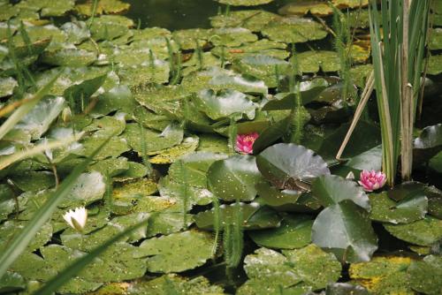 Taman di luar Das Jagdhaus Waldidyll Erzgebirge
