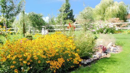 Κήπος έξω από το Appartement cosy aux Authieux Papion 15 m² avec jardin privatif