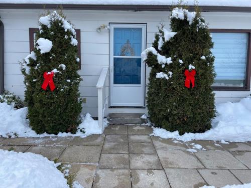 a house with christmas trees in front of a door at Sunrise and Bayview with SNOW SHOES, WATERCRAFTS , BIKES in Meaford