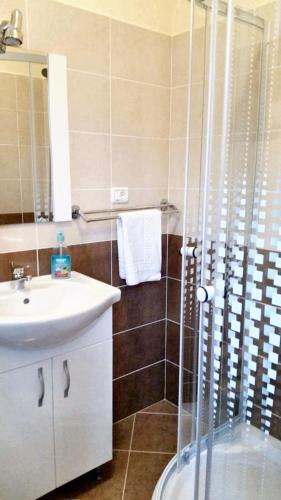a bathroom with a shower and a sink and a toilet at Charming House in Săcele with Garden View + BBQ in Săcele