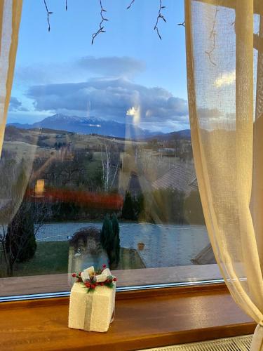 a window with a santa claus figurine in front of it at Mountain View PM in Poiana Mărului