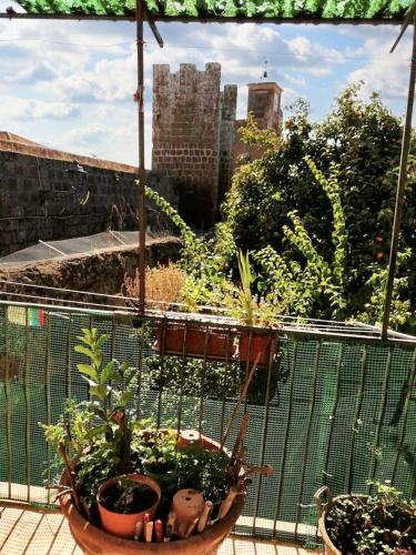 a group of potted plants on a balcony at Charming House in Barbarano Romano with Terrace and Fireplace in Barbarano Romano