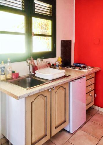Kuchyň nebo kuchyňský kout v ubytování Appartement charmant à Basse-Terre - 25 m² avec jardin