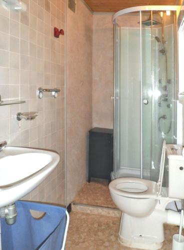 une salle de bain avec toilettes, douche et lavabo dans l'établissement Appartement charmant à Selonnet avec piscine partagée et vue, à Selonnet