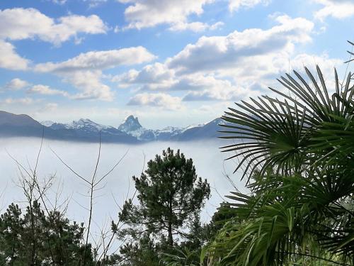 Paesaggio naturale nelle vicinanze della casa vacanze