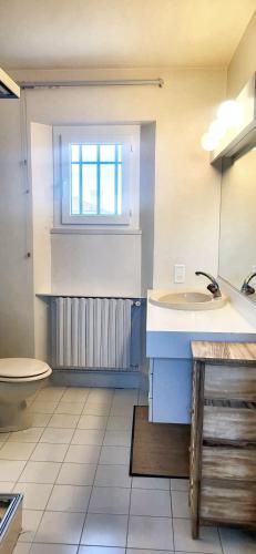 une salle de bain avec un lavabo et des toilettes dans l'établissement Villa charmante à Monteux + piscine, à Monteux