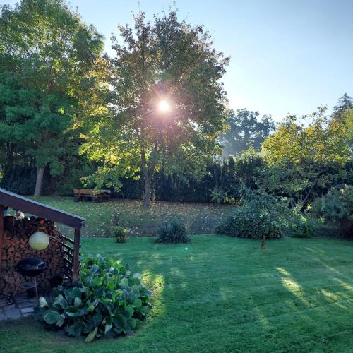 a garden with a tree and a bench in a yard at Klosterblick in Bad Doberan