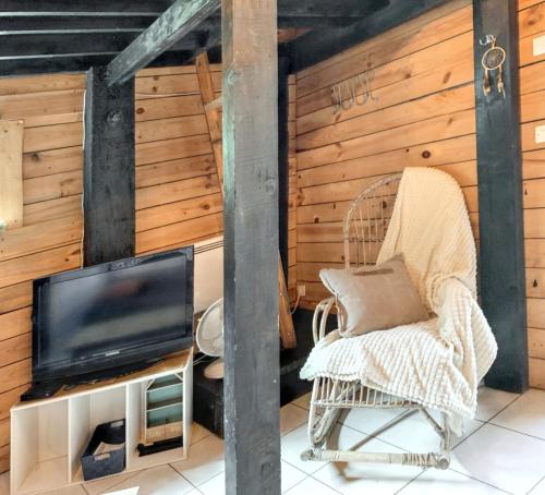 TV a/nebo společenská místnost v ubytování Charmant chalet à Sanguinet avec jardin et terrasse